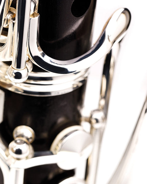 BC1231-2-1 - R13 clarinet – 17/6-Buffet Crampon-2