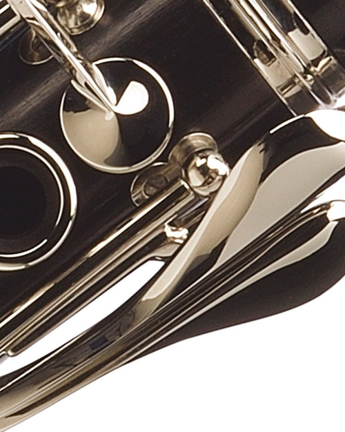 BC1231G-2-1 - Clarinetto R13 – 17/6-Buffet Crampon-2