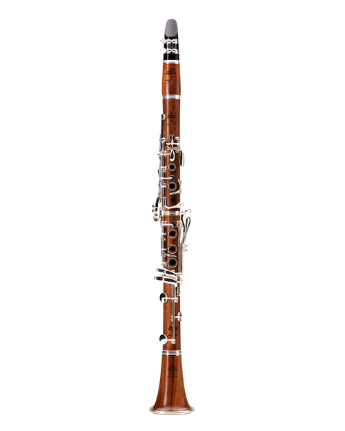 BC1231M-5-0 - Clarinetto R13 – 17/6-Buffet Crampon-1