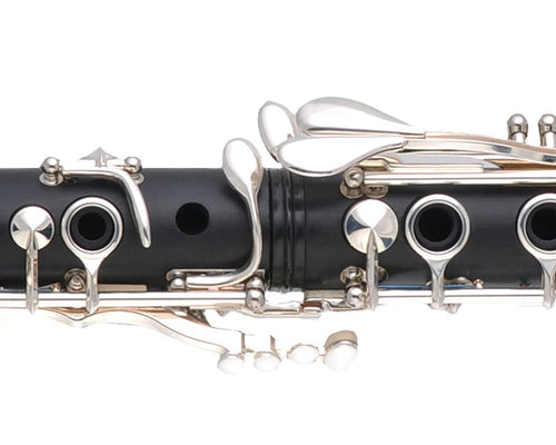 BC2539-2-0GB - Clarinetto Premium - 17/6-Buffet Crampon-5