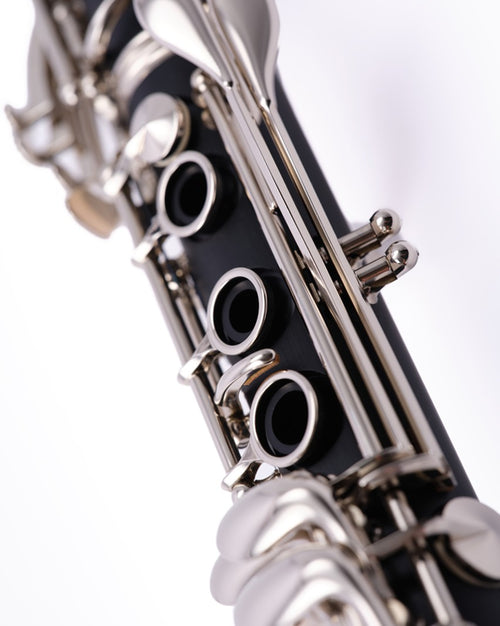 BC2540N-5-0GB - B12 clarinet - 17/6-Buffet Crampon-2