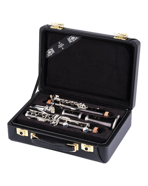 BC6721 - Case for Bb clarinet-Buffet Crampon-3
