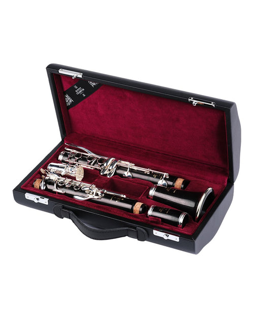 BC721B - Case for Bb clarinet-Buffet Crampon-3